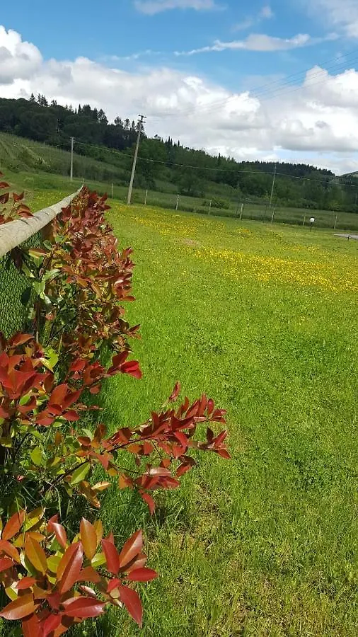 Podere Greve Chianti San Casciano in Val di Pesa